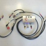 Cantrell Motorsports 996 fuel cell wiring harness for fuel safe fuel cell