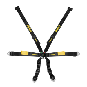Schroth Enduro 2x2 Racing Harness